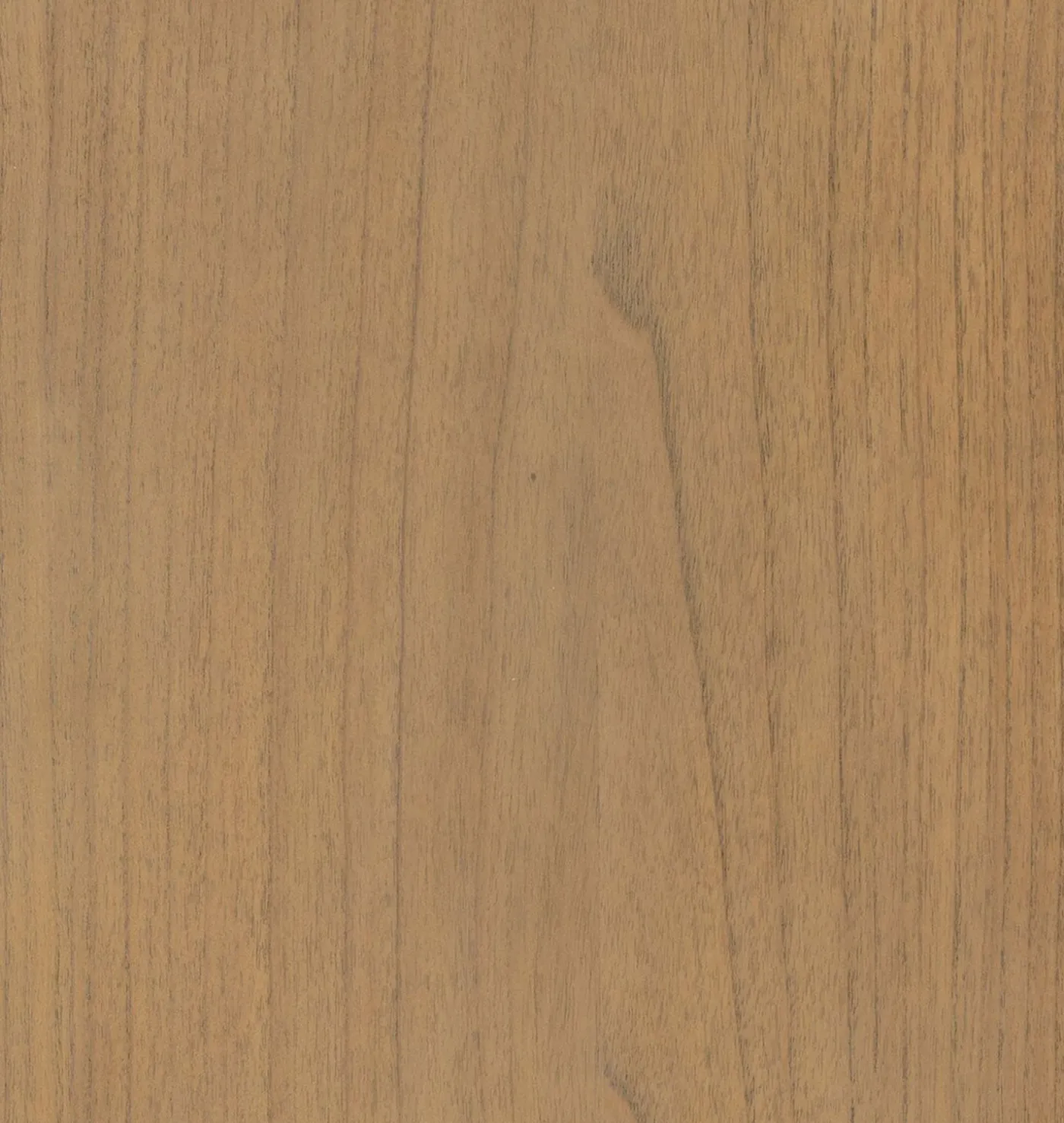 Alexandre Bookcase