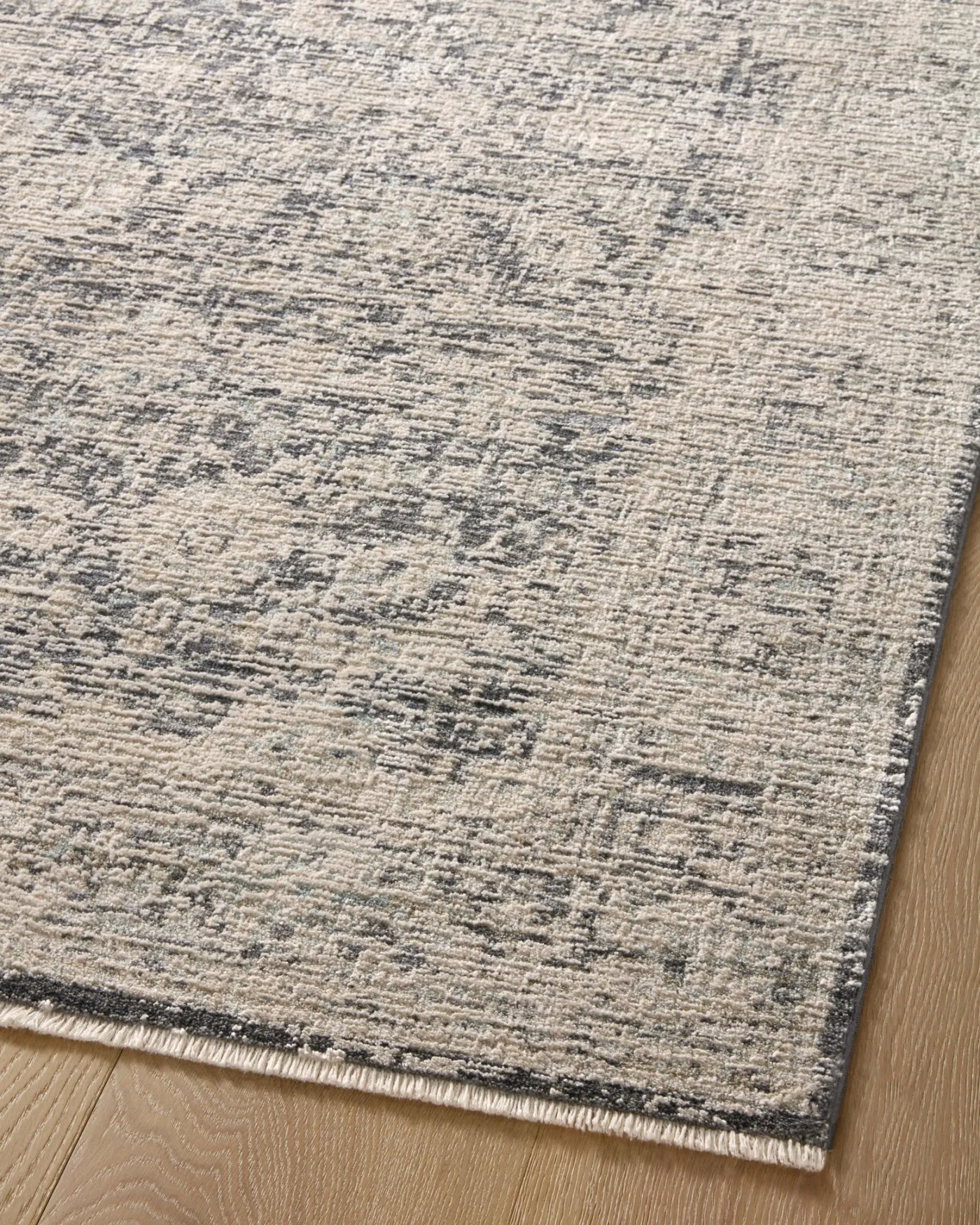 Alie ALE-05 Charcoal / Beige Area Rug