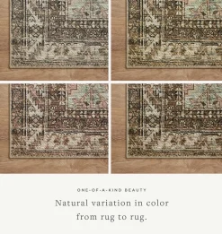 Billie BIL-03 Clay / Sage Area Rug