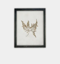Botanical II Framed Print