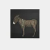 Burro Noche by Paul Meyer Framed Print