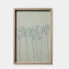 Cassia