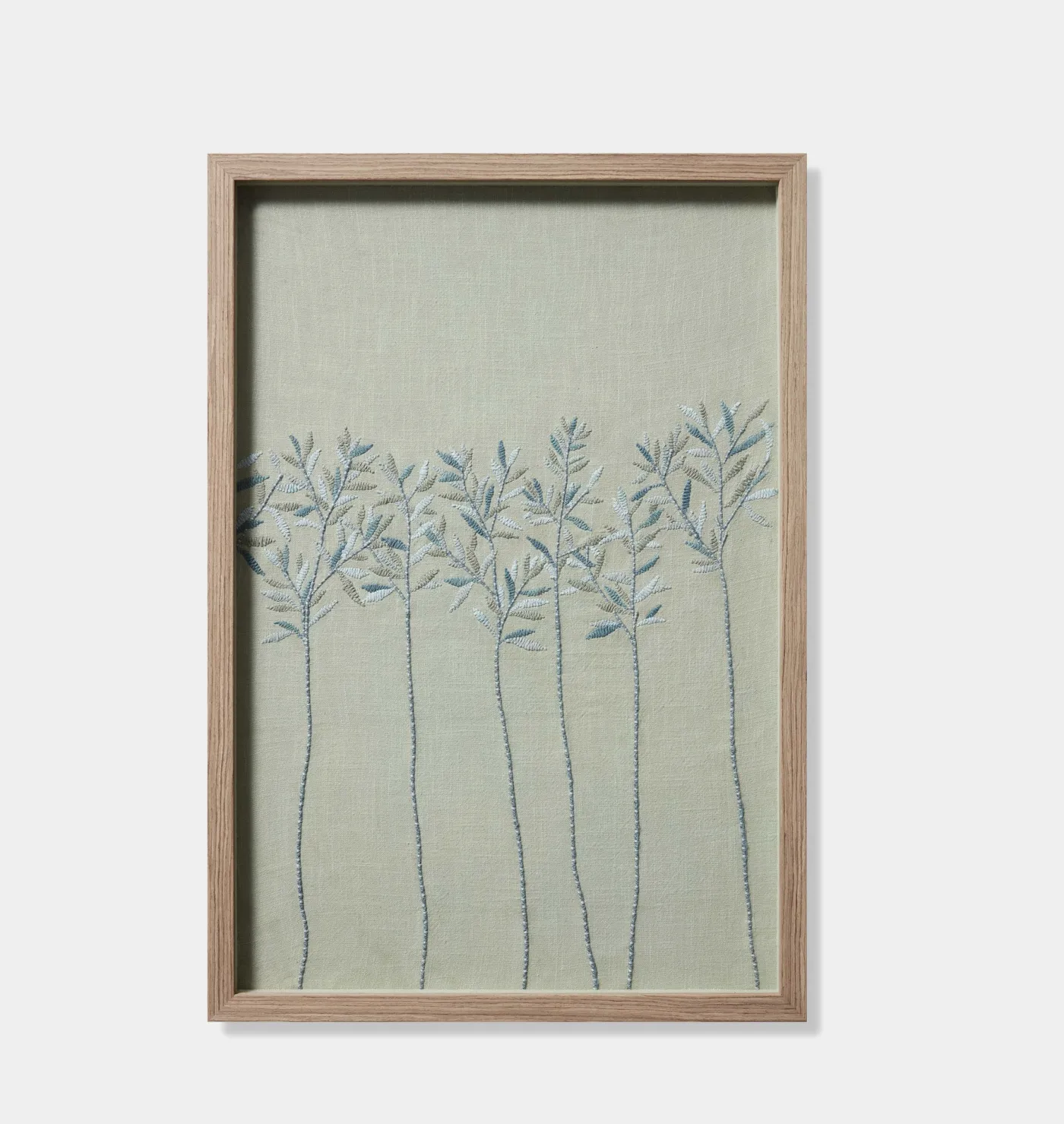 Cassia