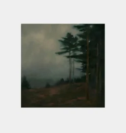 Charles' Woods Unframed Print