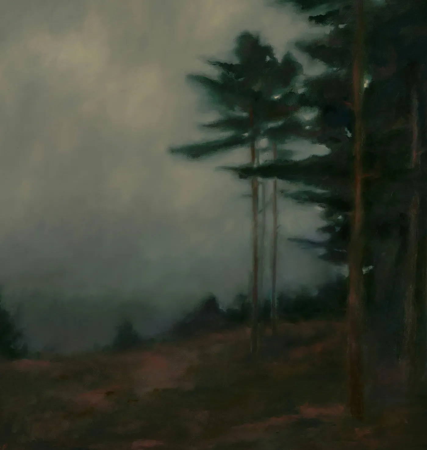 Charles' Woods Unframed Print