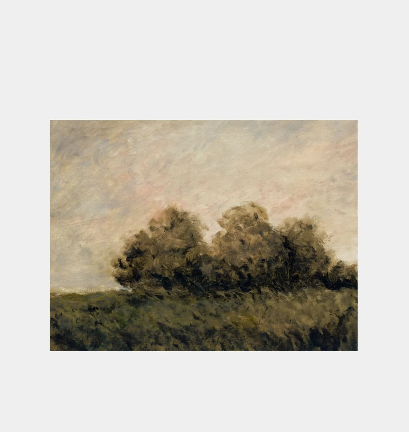 Clasica VIII
