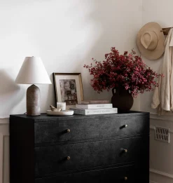 Coop Dresser