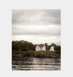 Curt Island