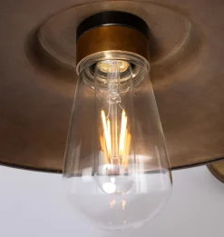 Darya Swan Neck Wall Light