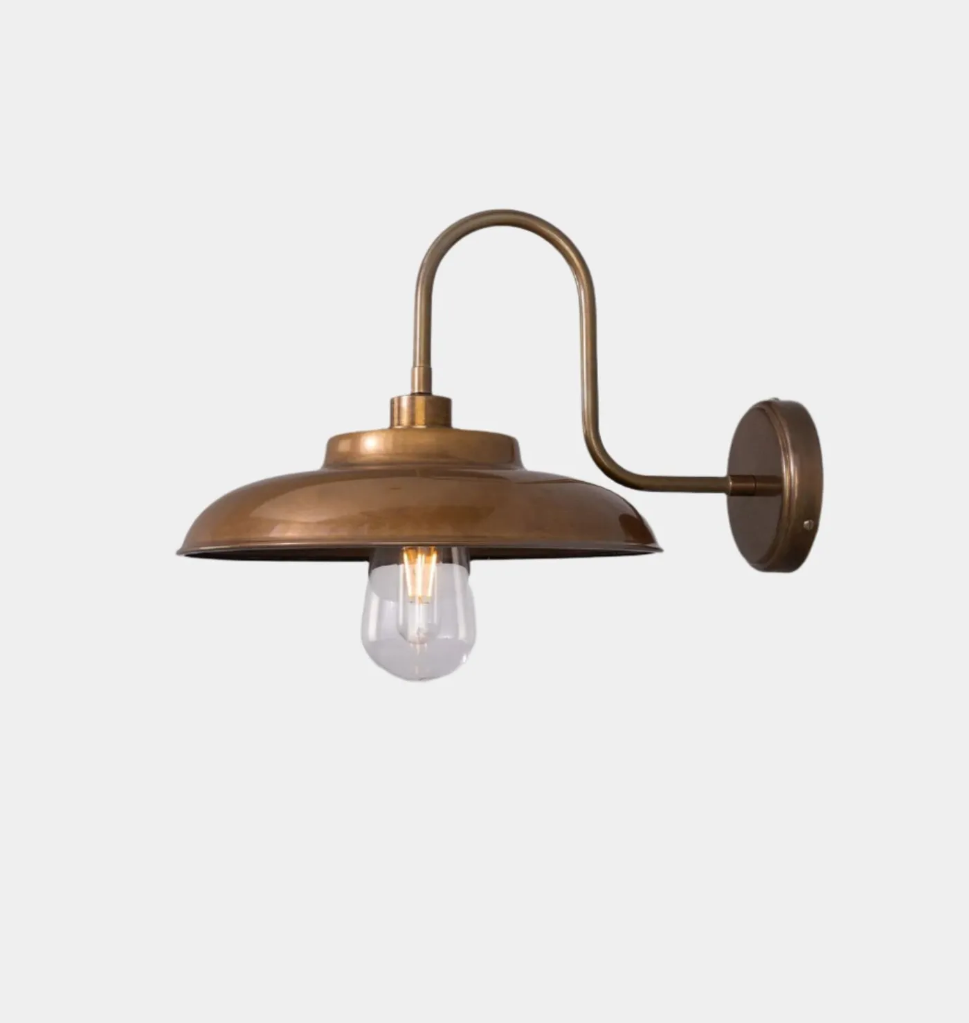 Darya Swan Neck Wall Light