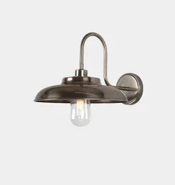 Darya Swan Neck Wall Light
