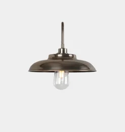 Darya Swan Neck Wall Light