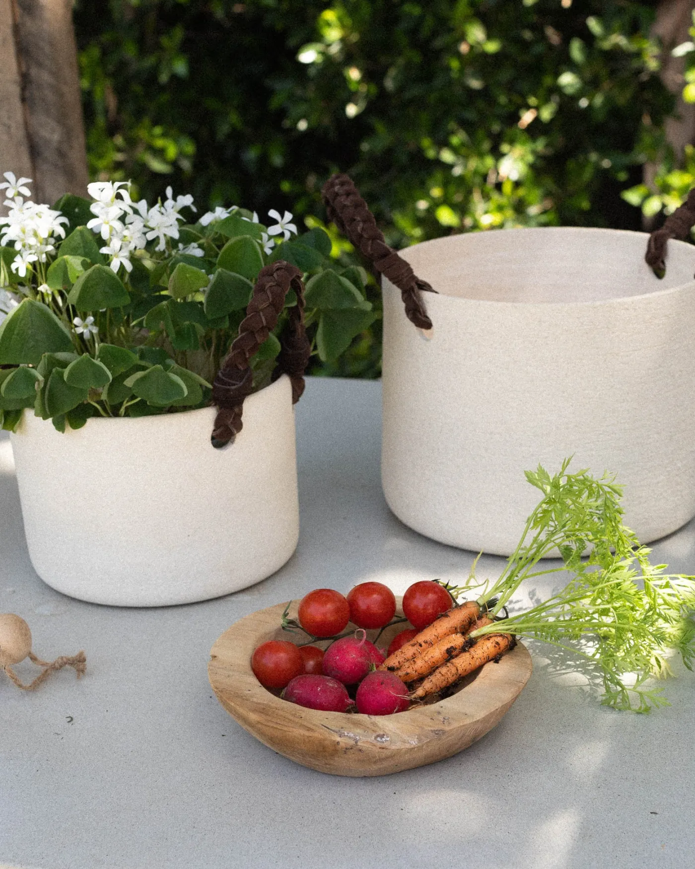 Dylan Planter