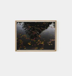 Echo by Shade Degges Framed Print