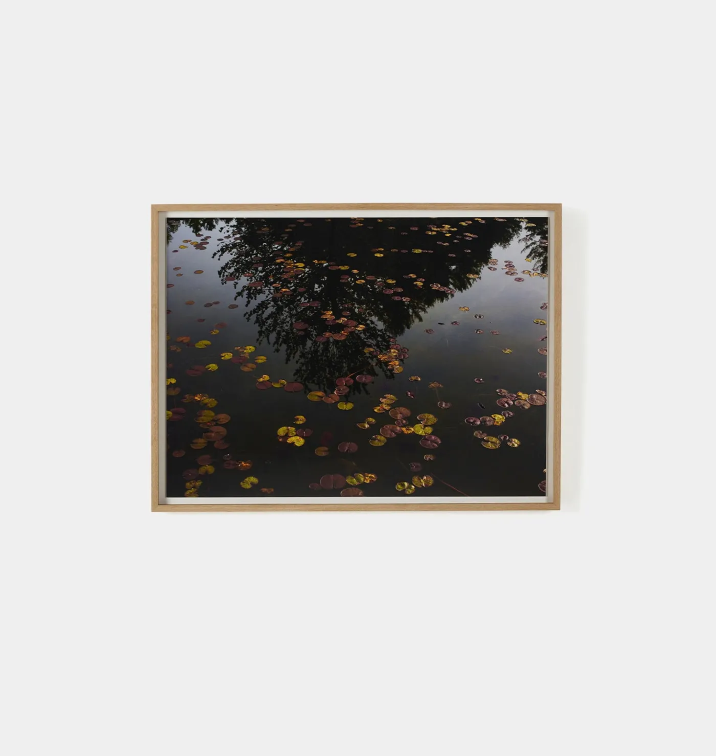 Echo by Shade Degges Framed Print