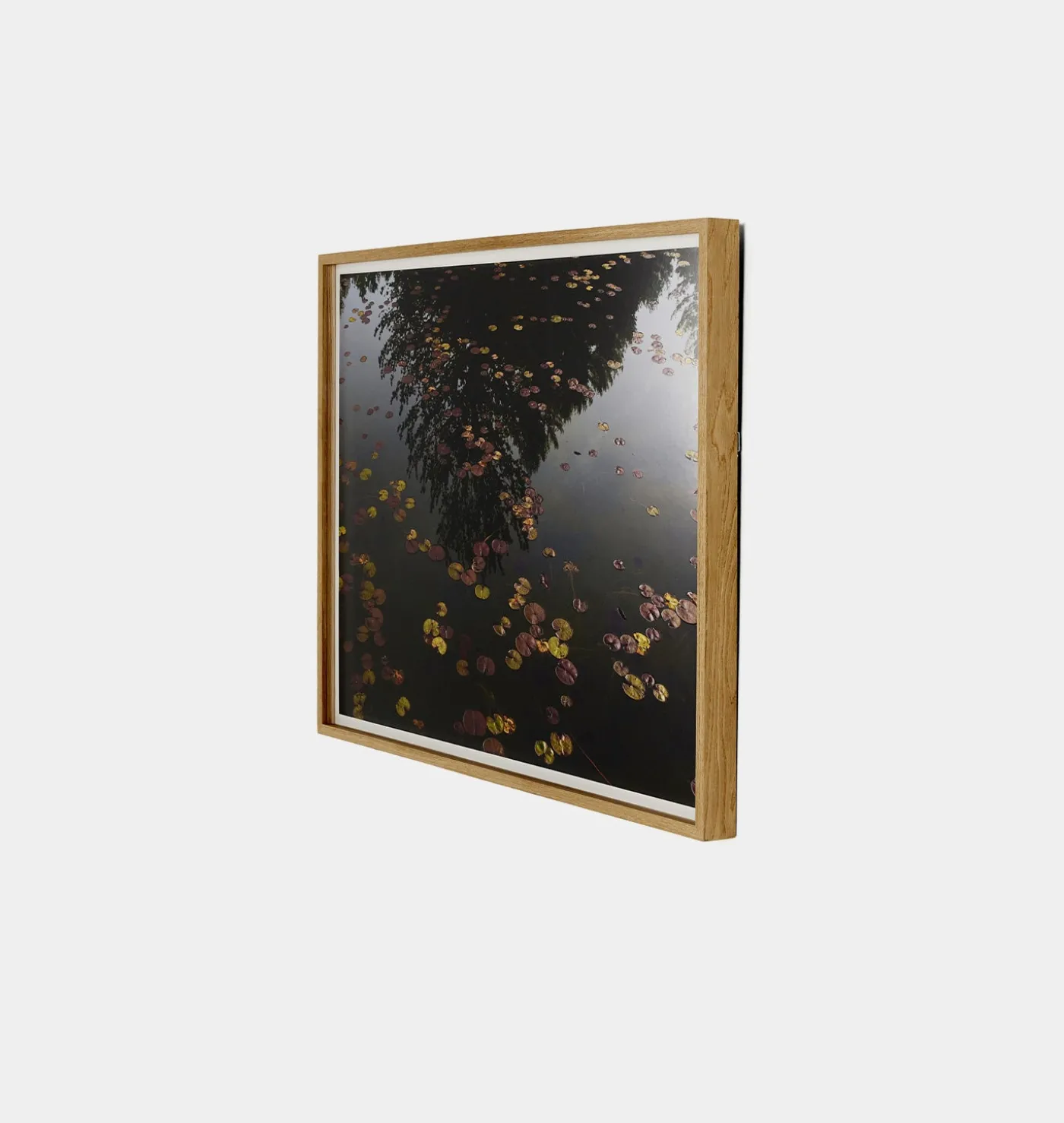 Echo by Shade Degges Framed Print