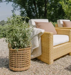 Elly Outdoor Lounge Chair