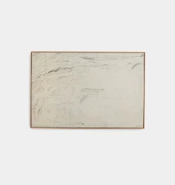 Examination of The Rose Framed Print