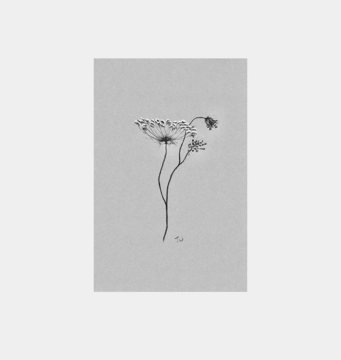 Fiore No.III