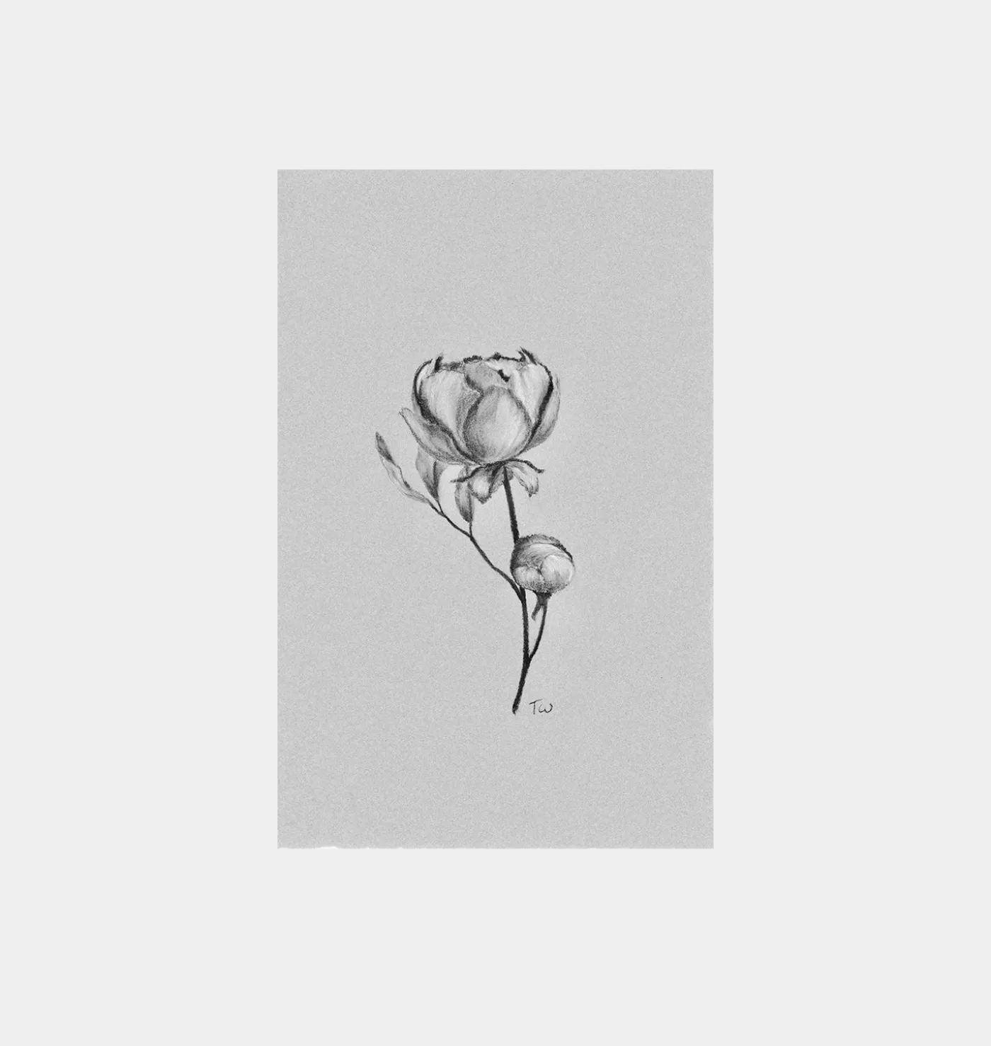 Fiore No.IV