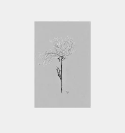 Fiore No.VIII