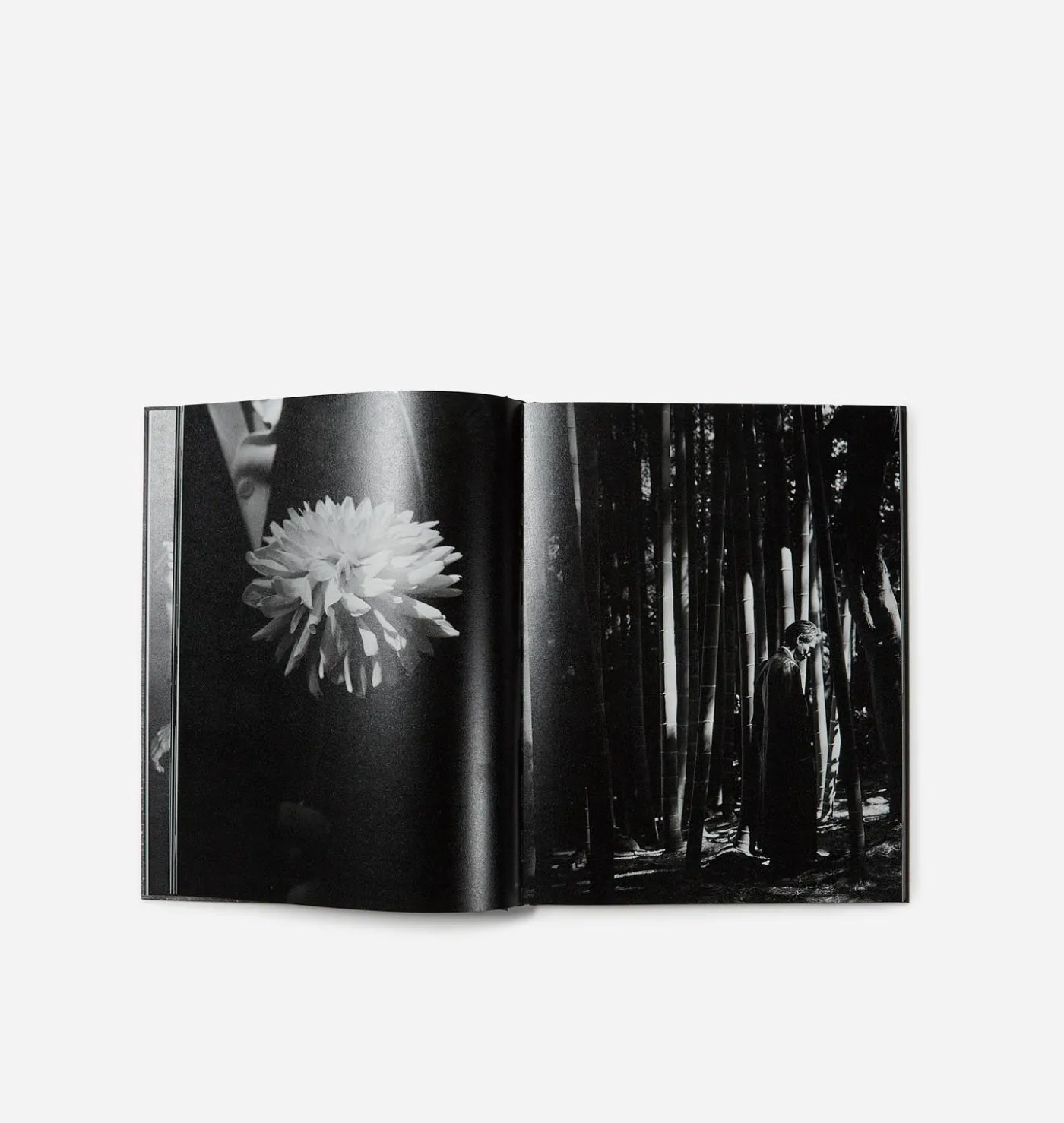Fluence: The Continuance of Yohji Yamamoto