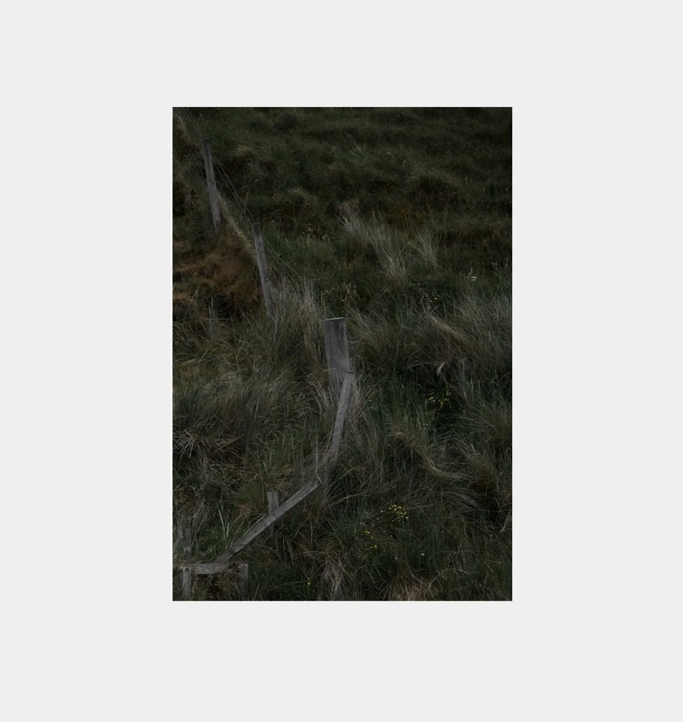 Grassy Ascent Unframed Print