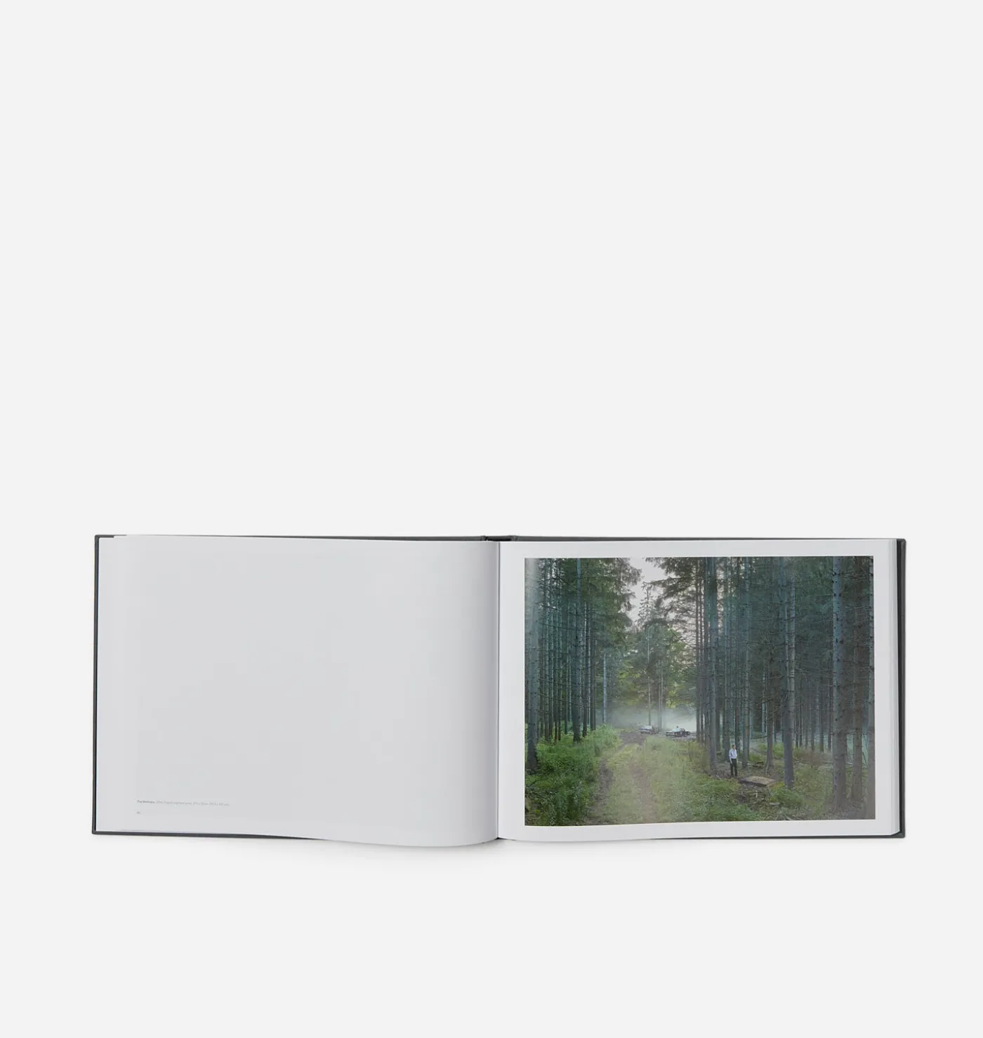 Gregory Crewdson: Eveningside