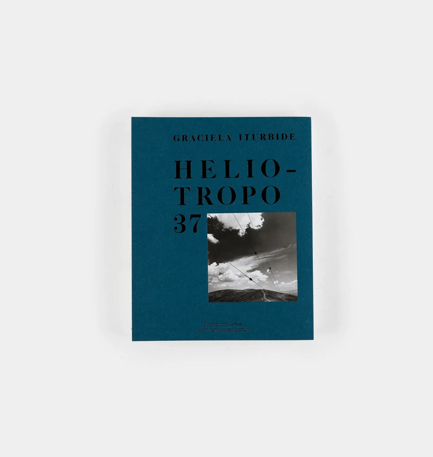 Heliotropo 37