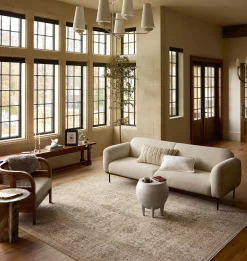 Heritage HER-04 Ivory / Natural Area Rug