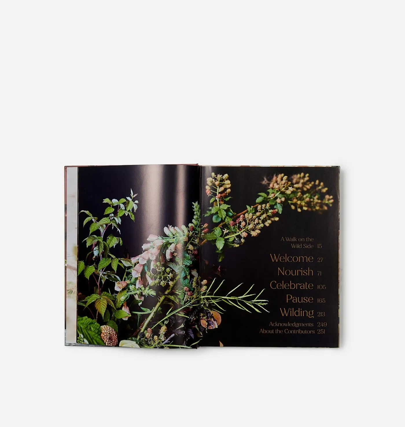 Home in Bloom