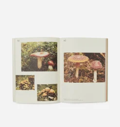 John Cage: A Mycological Foray