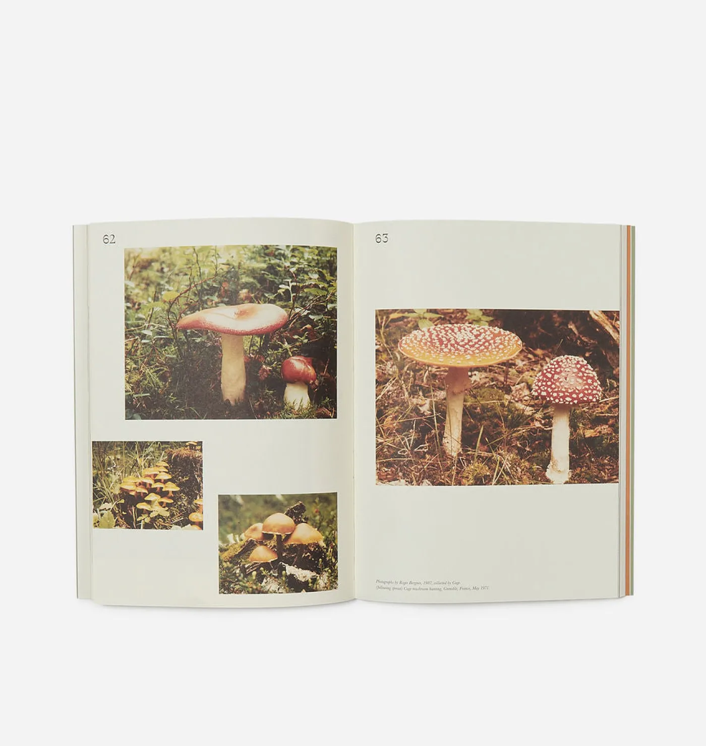 John Cage: A Mycological Foray