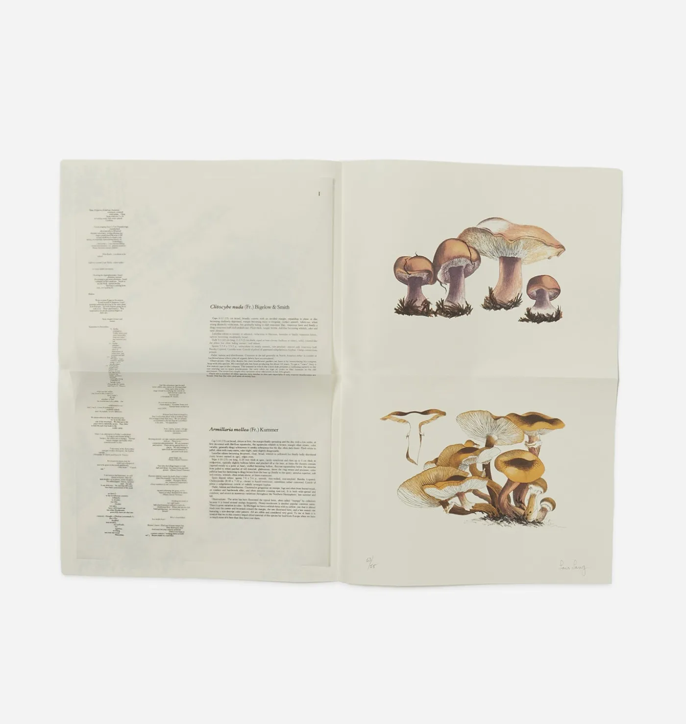 John Cage: A Mycological Foray