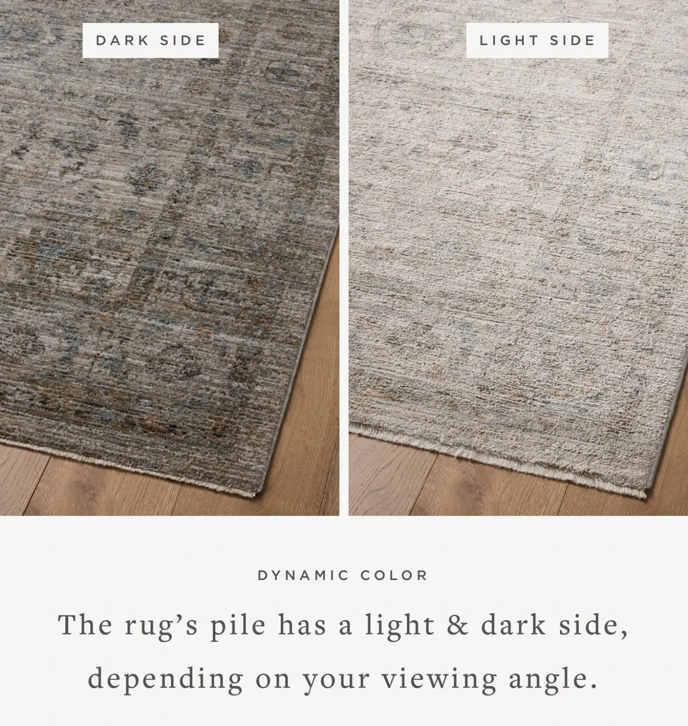 Katherine KES-03 Beige / Mist Area Rug