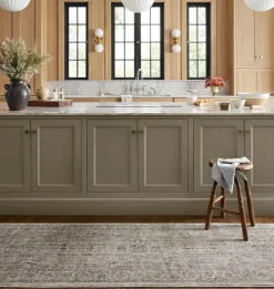 Katherine KES-03 Beige / Mist Area Rug