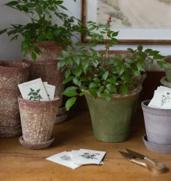 Leith Planter