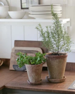 Leith Planter