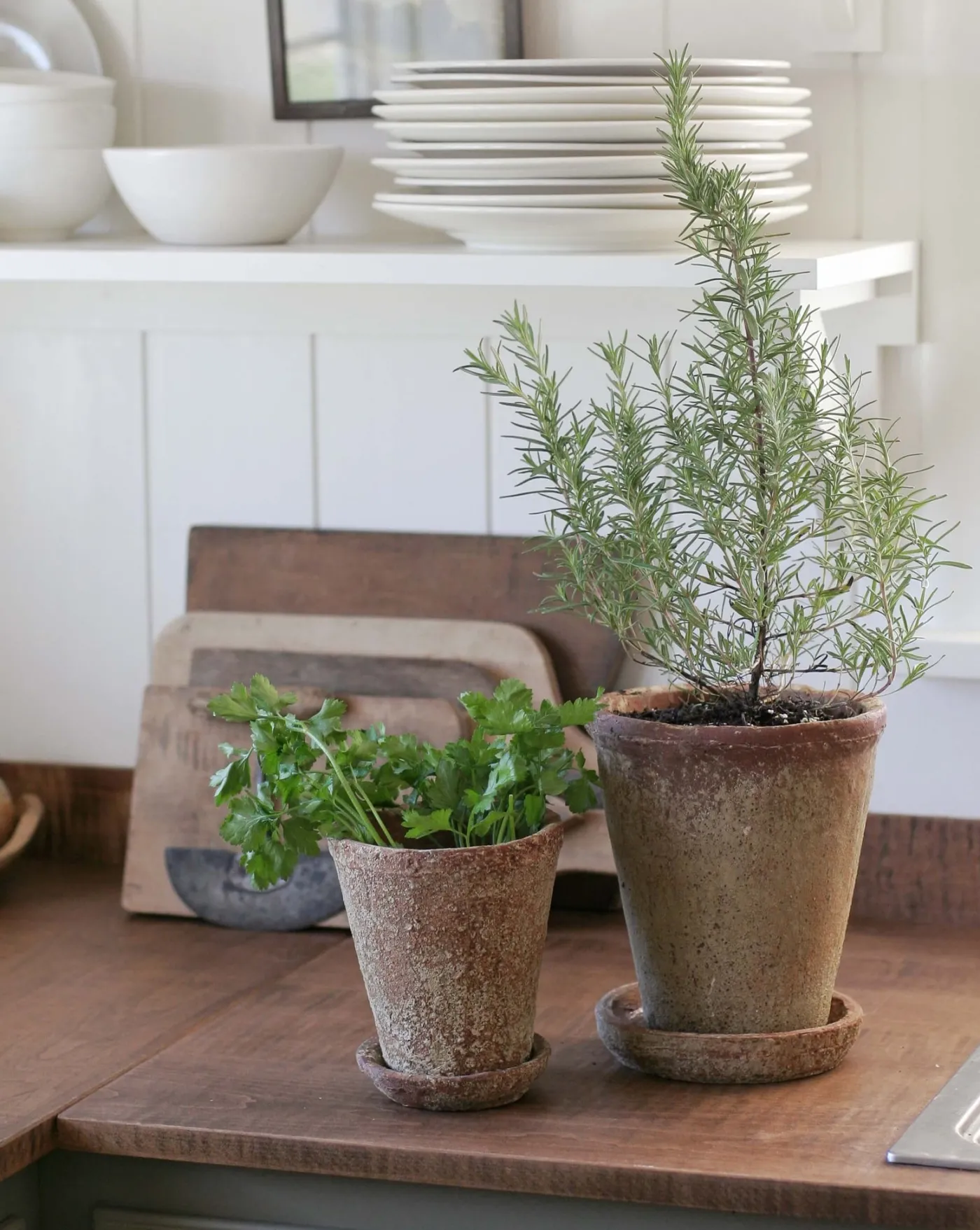 Leith Planter