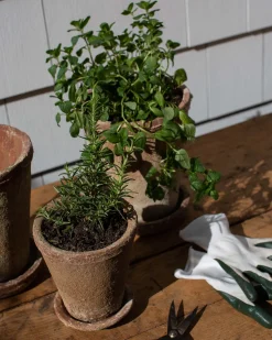 Leith Planter