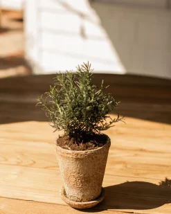 Leith Planter