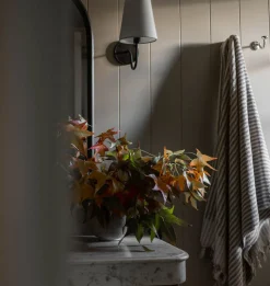 Lyndsie Small Sconce