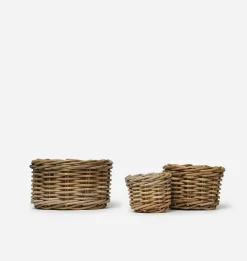Marcia Planter