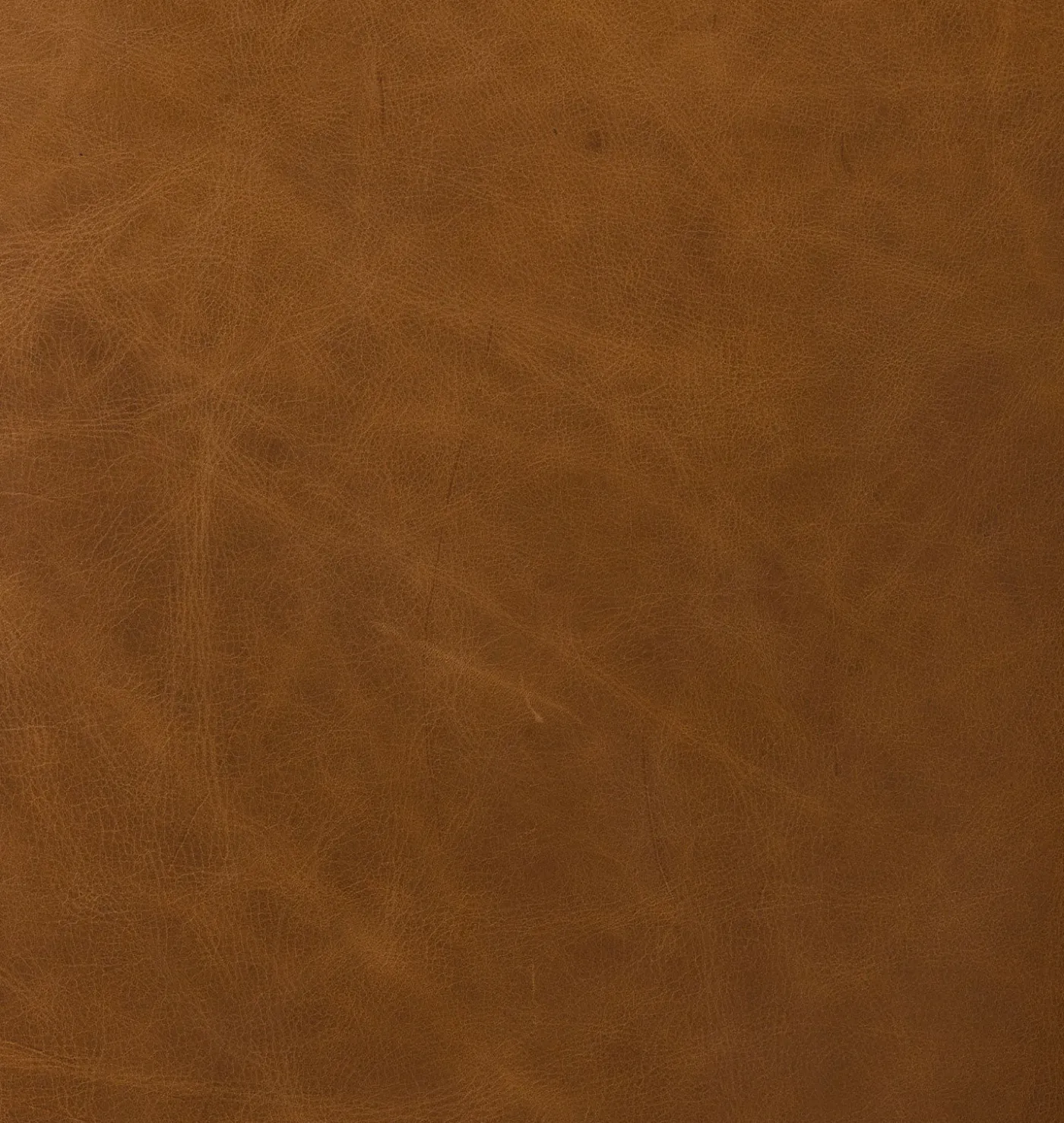 Melvin Petite Leather Lounge Chair