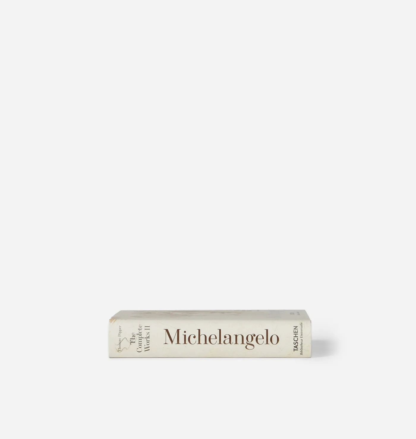 Michelangelo