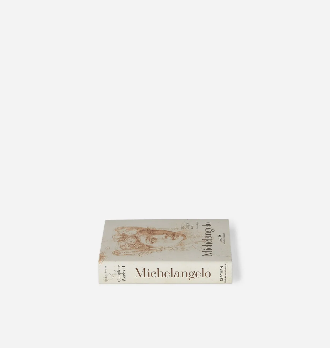 Michelangelo