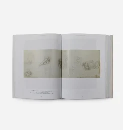Michelangelo
