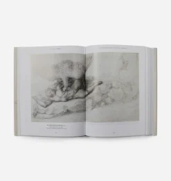 Michelangelo