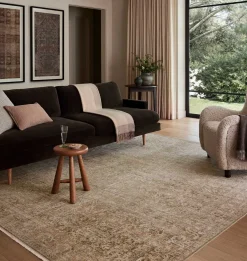 Molly MOL-08 Antique / Multi Area Rug