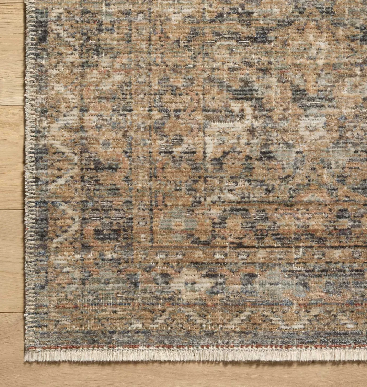 Molly MOL-02 Denim / Gold Area Rug